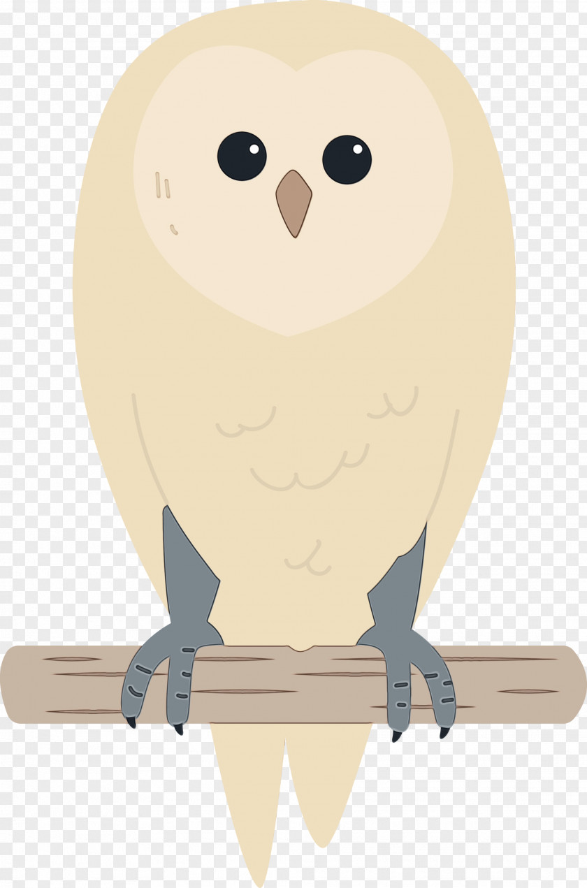Owls Cartoon Beak PNG