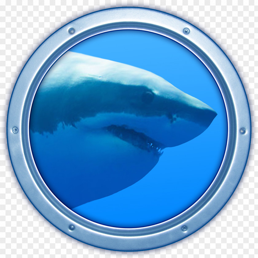 Shark MacOS Computer Program Mac App Store Desktop Wallpaper PNG