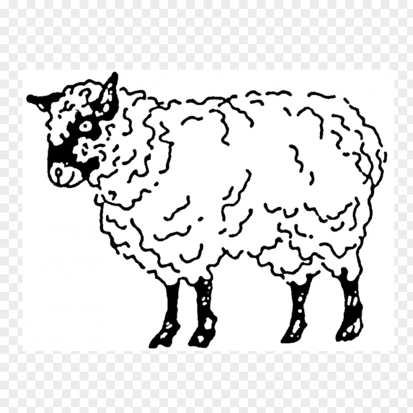 Sheep Cattle Ox Clip Art Pack Animal PNG