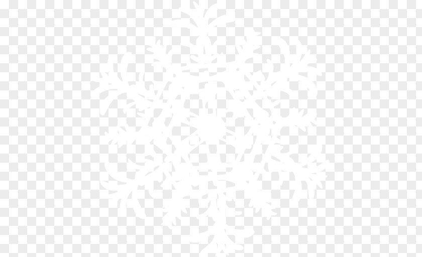Snowflake Image Euclidean Vector PNG