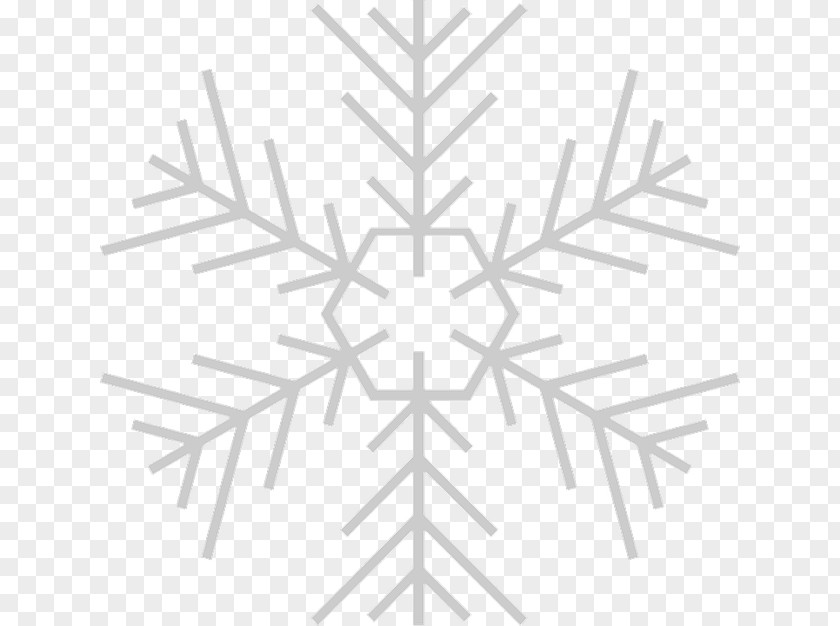 Snowflake Vector Graphics Illustration Royalty-free PNG