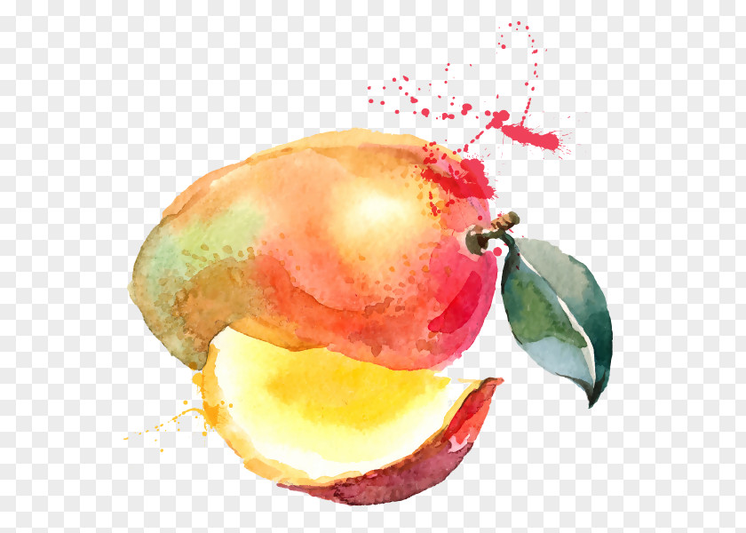 Accesories Watercolor Juice Smoothie Mango Painting Drawing PNG