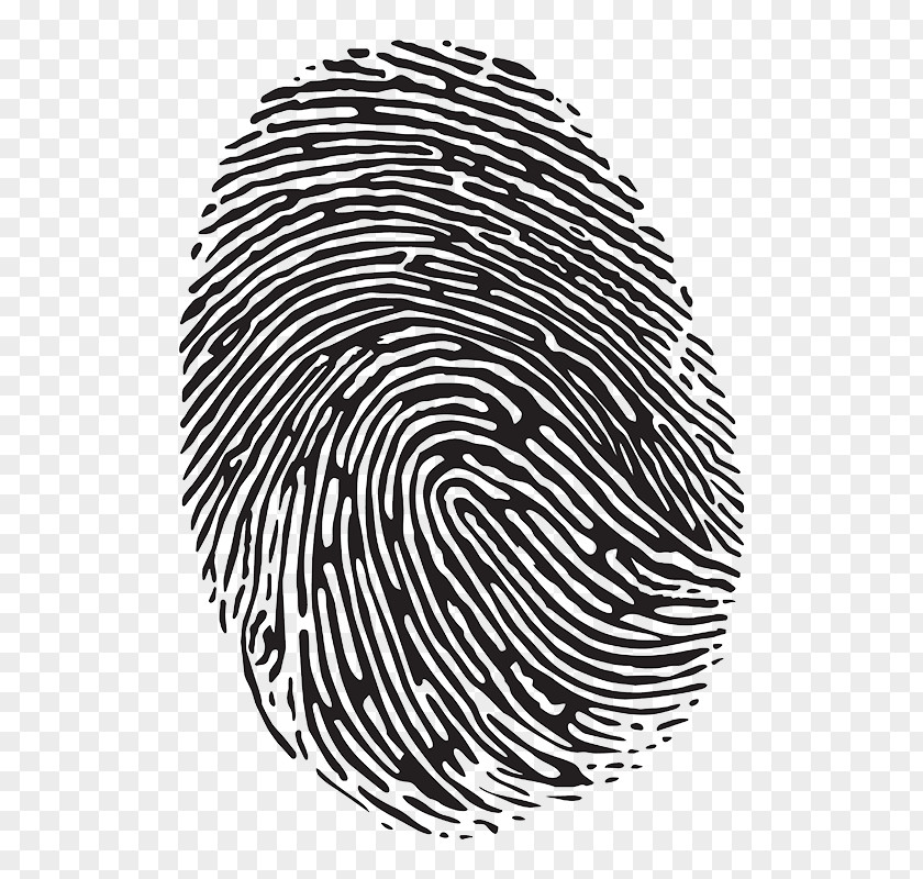 Fingerprint Crime Scene Forensic Science CSI Effect PNG