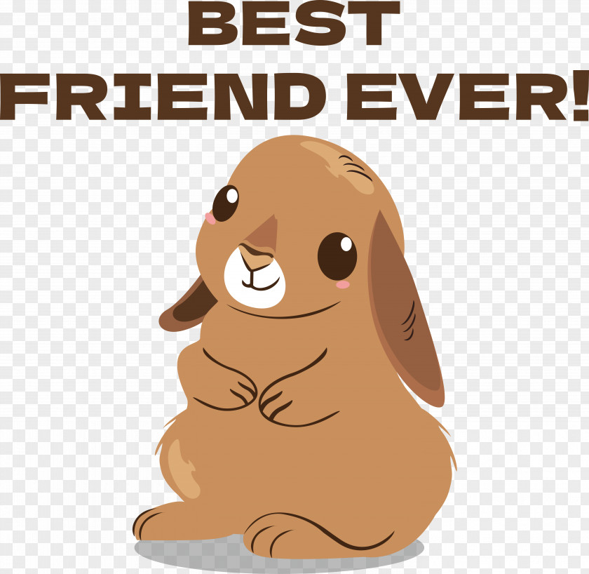 Rabbit Hares Paw Puppy PNG