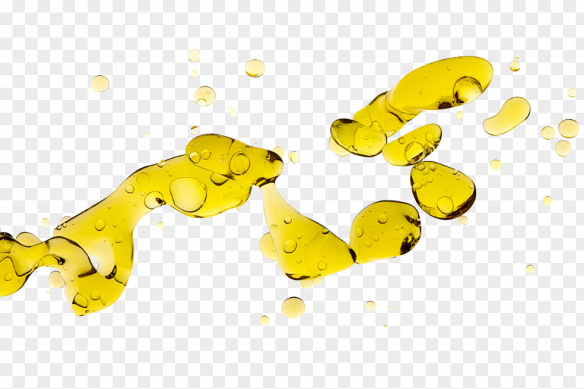 Yellow Oil Droplets Olive Drop Stock Photography PNG