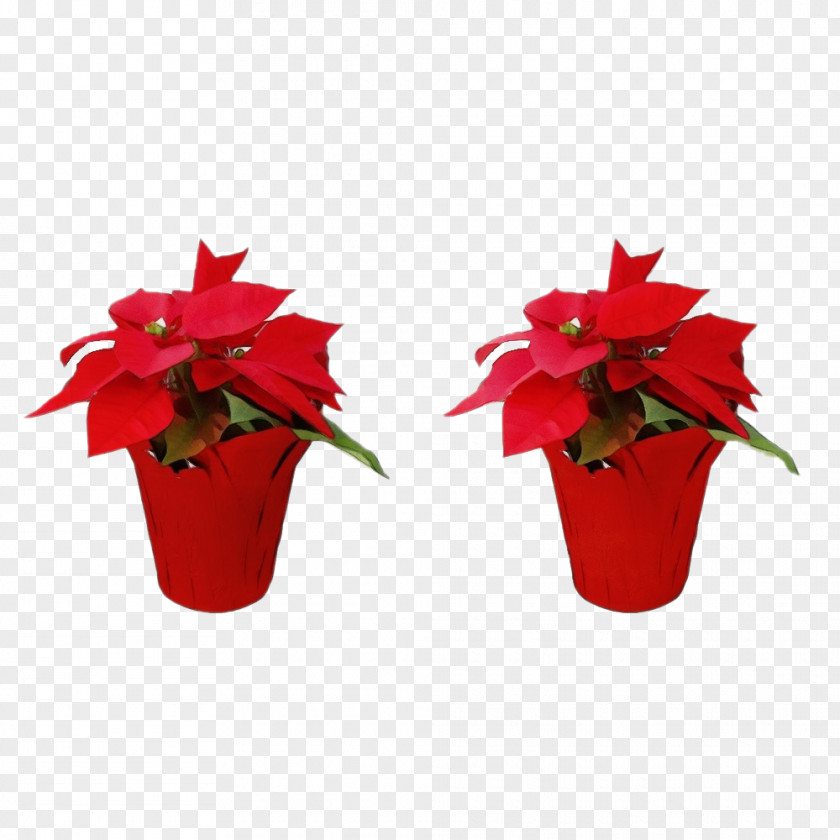 Flower Poinsettia Red Plant Flowerpot PNG