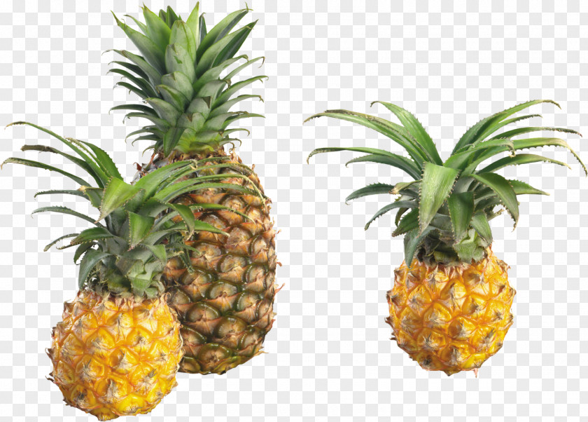 Pineapple Tropical Fruit Food PNG