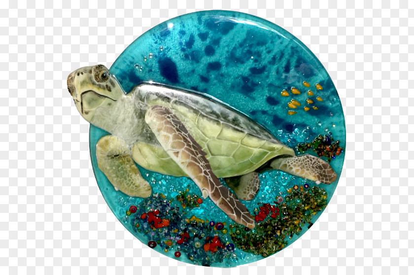 Turtle Loggerhead Sea Box Turtles Snapping Tortoise PNG