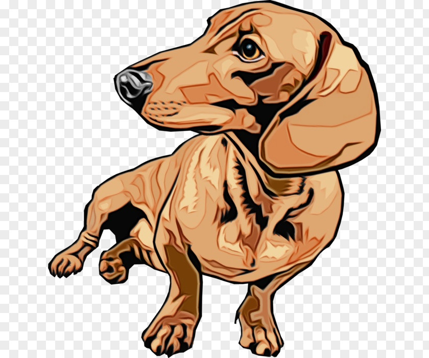 Vizsla Snout Dog Cartoon Dachshund Clip Art Breed PNG