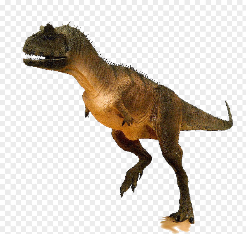 Dinosaur Tyrannosaurus Carnotaurus Ankylosaurus Spinosaurus King PNG