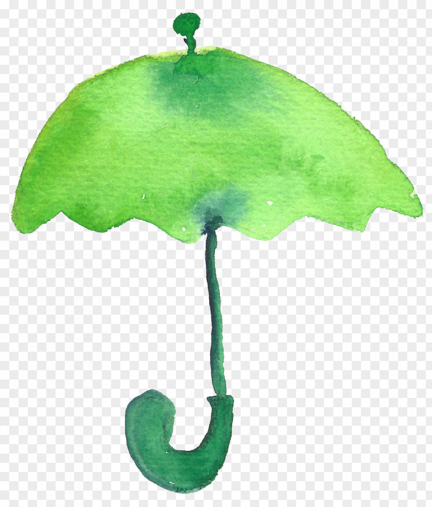 Green Umbrella Cartoon Drawing PNG