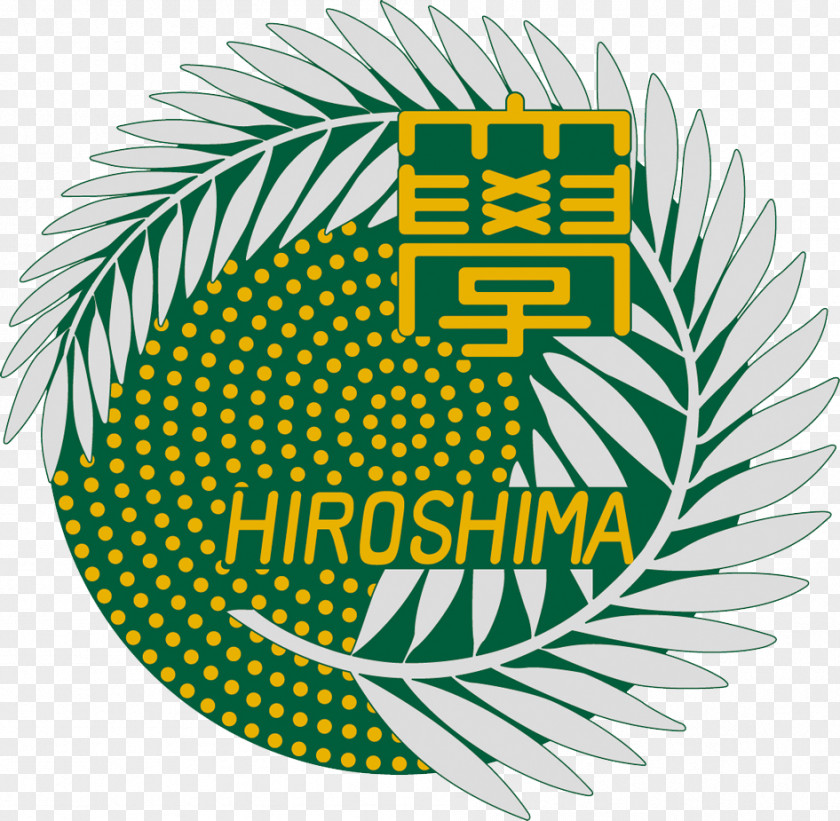 Japanese And American Flag Hiroshima University Master's Degree College PNG