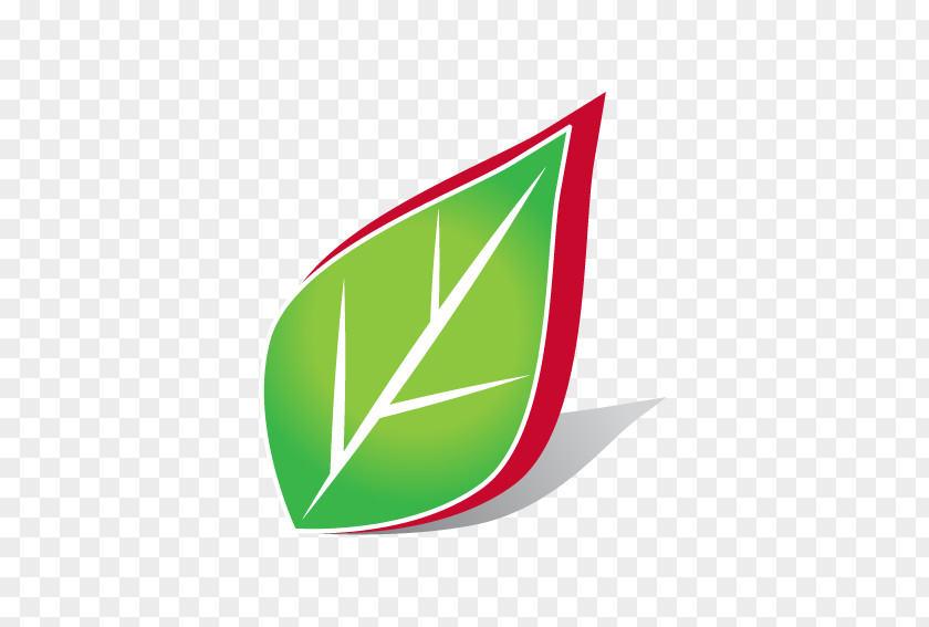 Leaf Logo Brand PNG