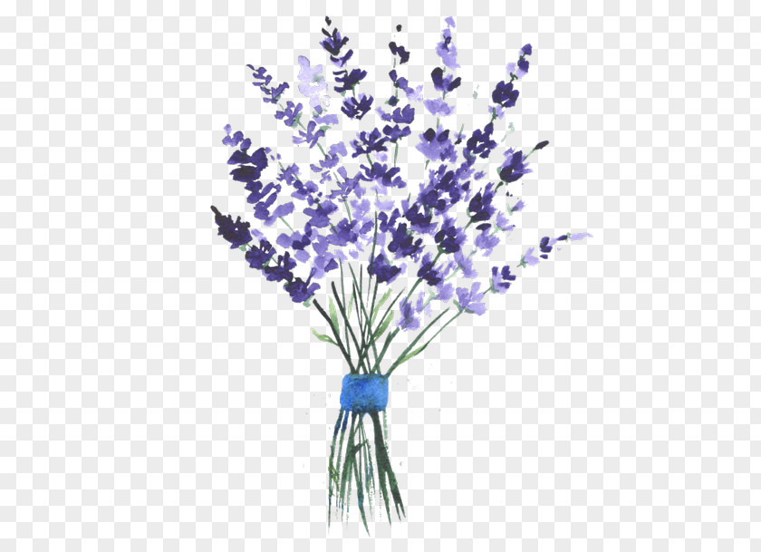 Painting English Lavender Watercolor Clip Art PNG