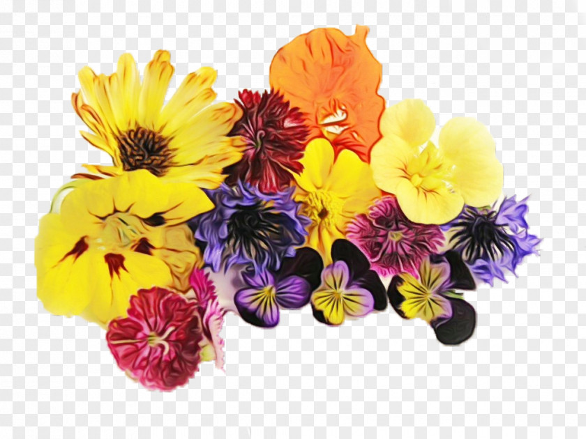 Pansy Cut Flowers Floral Design Flower Bouquet PNG