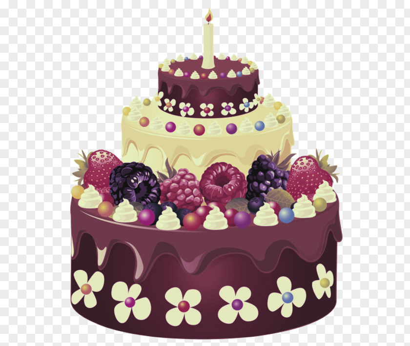 Sugar Paste Icing Birthday Cake PNG