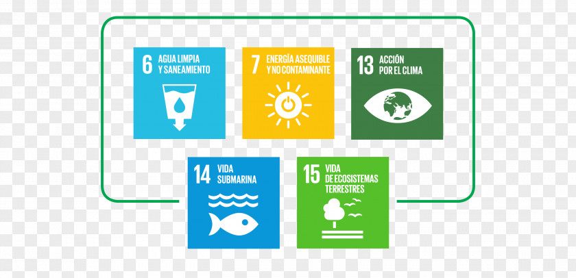 Temasek Sustainable Development Goals Sustainability Agriculture Farm PNG