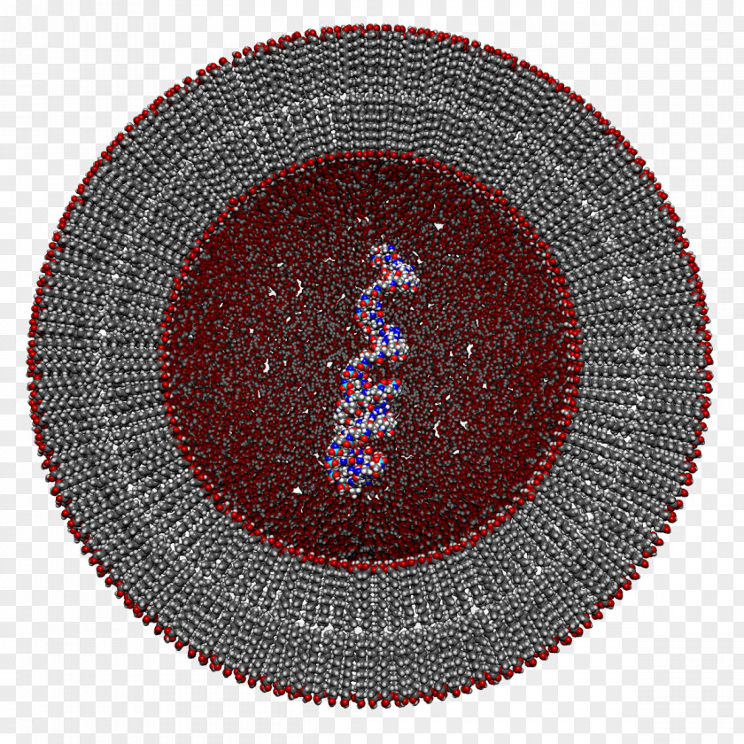 Fatty Pattern Circle M RV & Camping Resort PNG