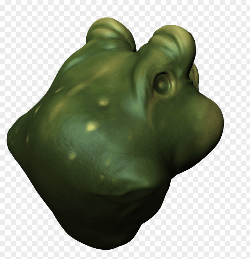 Frog Green PNG