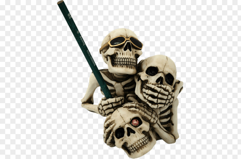 Skull Skeleton Bone Head PNG