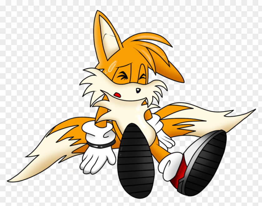 TIRED Tails Knuckles The Echidna Sonic Unleashed DeviantArt PNG