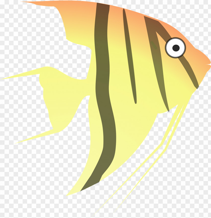 Tropical Sea Angelfish Drawing Cartoon Clip Art PNG