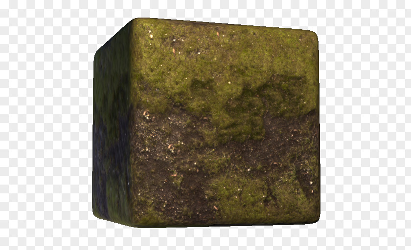 Wall Moss TurboSquid 3D Modeling Computer Graphics Texture Mapping Mineral PNG