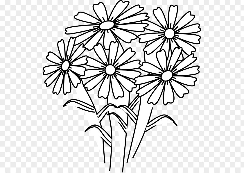 Flower Coloring Book Child Adult PNG