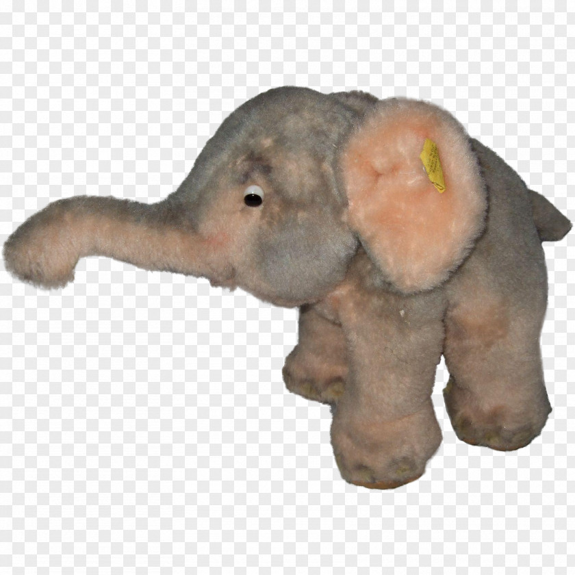 India Indian Elephant African Curtiss C-46 Commando Stuffed Animals & Cuddly Toys PNG