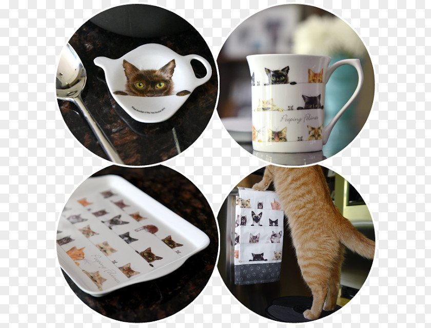 Mug Coffee Cup Cat Tea Saucer PNG