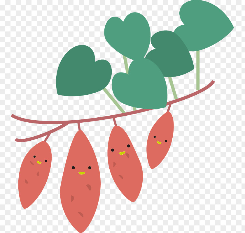 Seasonal Sweet Potatoes Potato Leaf Illustration Cartoon Daigaku-imo PNG