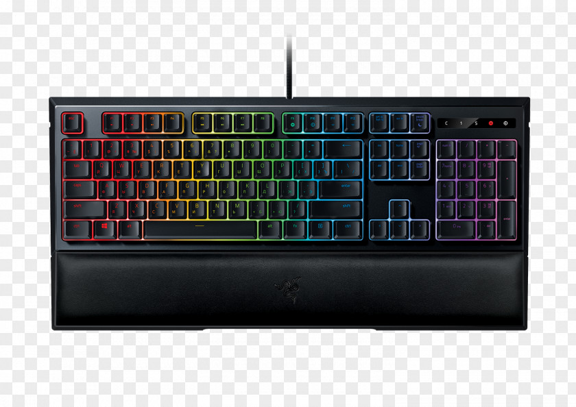 Computer Mouse Keyboard Razer Ornata Chroma Inc. PNG