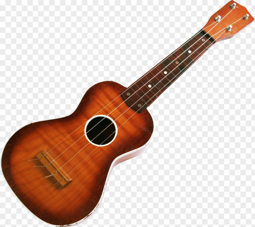 Dumbbells Ukulele Steel-string Acoustic Guitar Fender Musical Instruments Corporation PNG