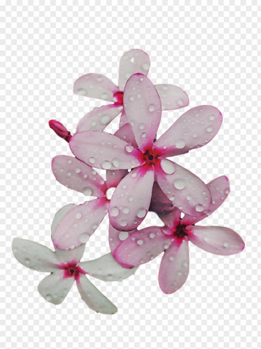 Petal Lilac M Flower PNG