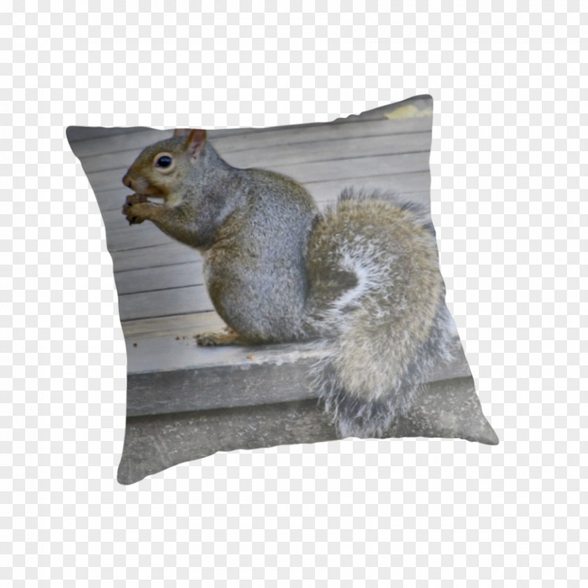 Squirrel Cushion Throw Pillows Fauna PNG