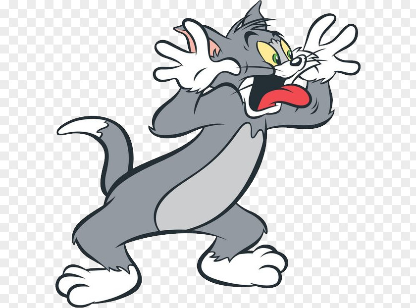 Tom And Jerry Cat My Talking Mouse PNG