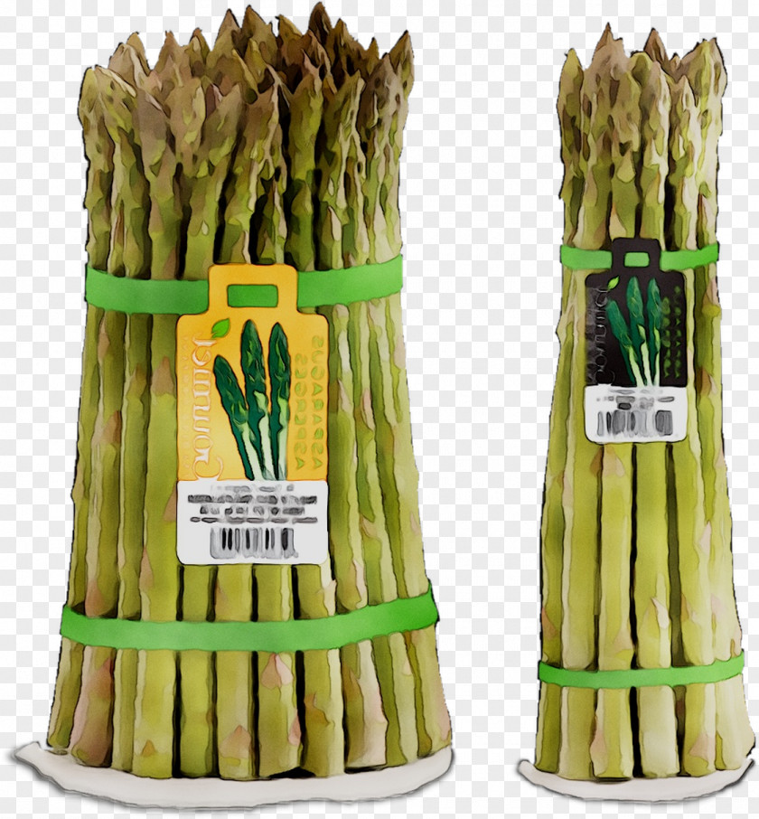 Asparagus Commodity PNG