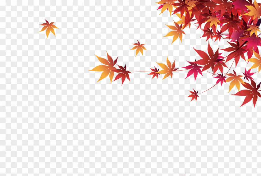 Autumn Maple Leaf Fundal PNG