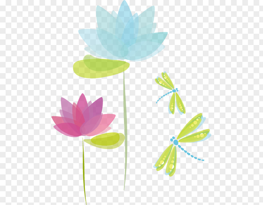 Dragonflies Vector Graphics Image Royalty-free Stock Photography Illustration PNG