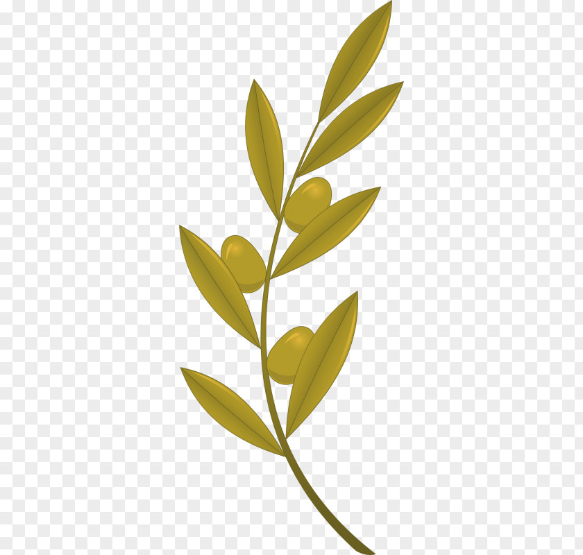 Olive Branch Royalty-free PNG