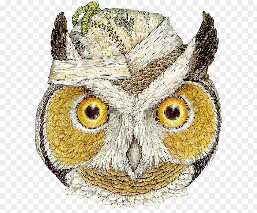 Owl The And Pussycat Mitten Hat Mask PNG