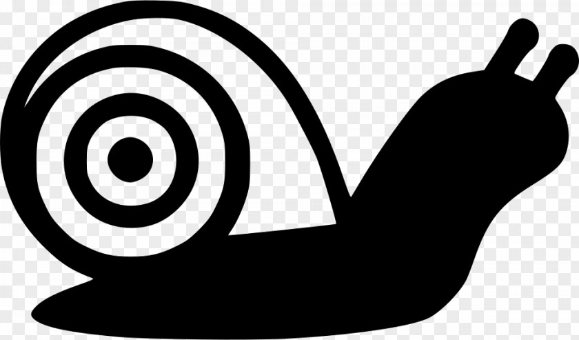 Snail Clip Art PNG