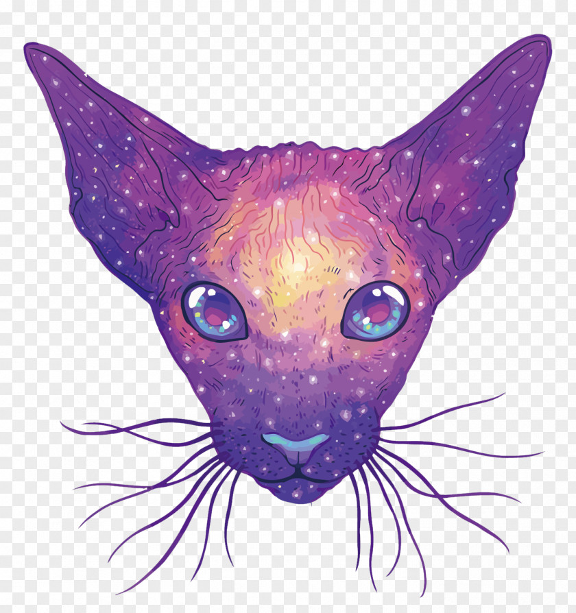 Vector Starry Cat Euclidean PNG