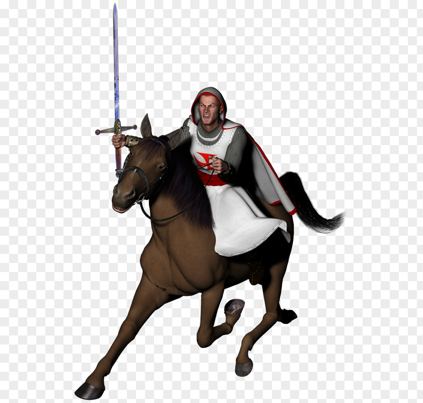 Willy Caballero Knights Templar Horse Crusades PNG