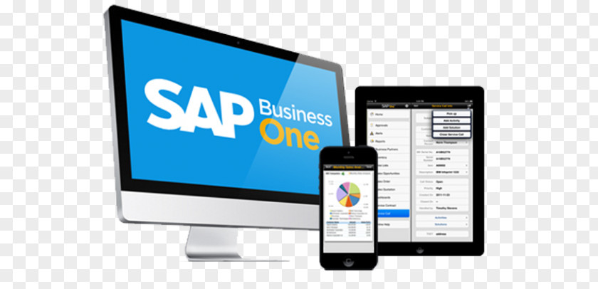 Business SAP One Enterprise Resource Planning SE Management PNG