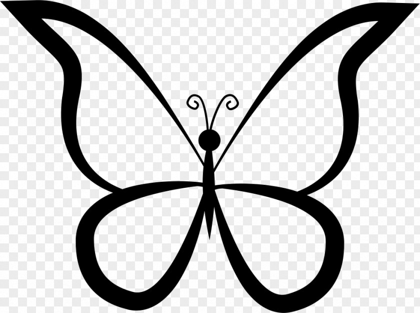 Butterfly Pattern Insect Clip Art PNG