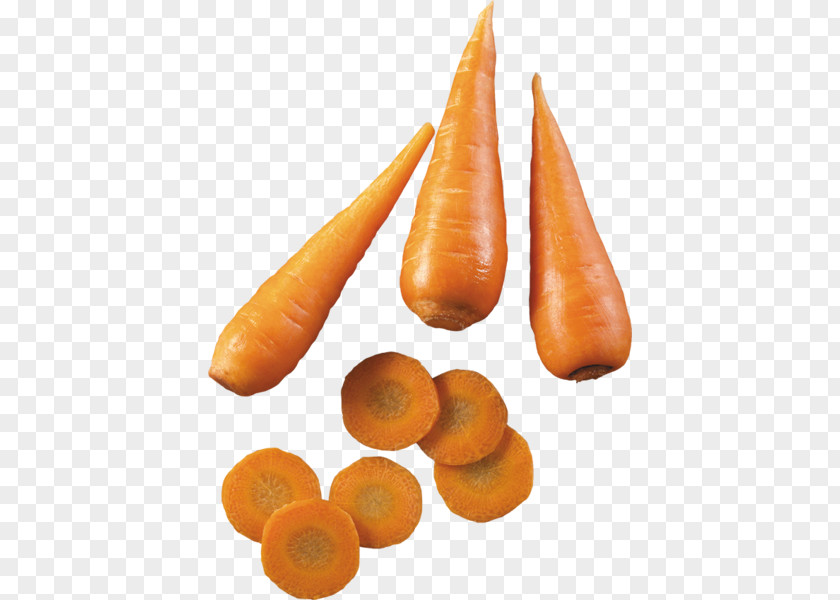 Carrot Baby Vegetable Clip Art PNG
