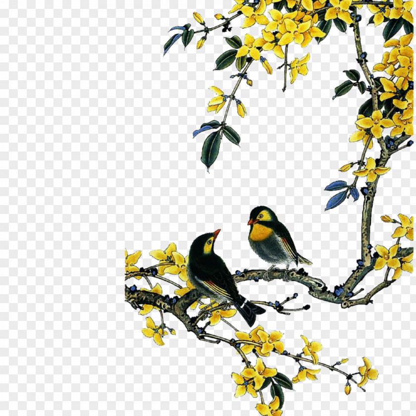 Chinese Painting Clipart Bird-and-flower Gongbi PNG