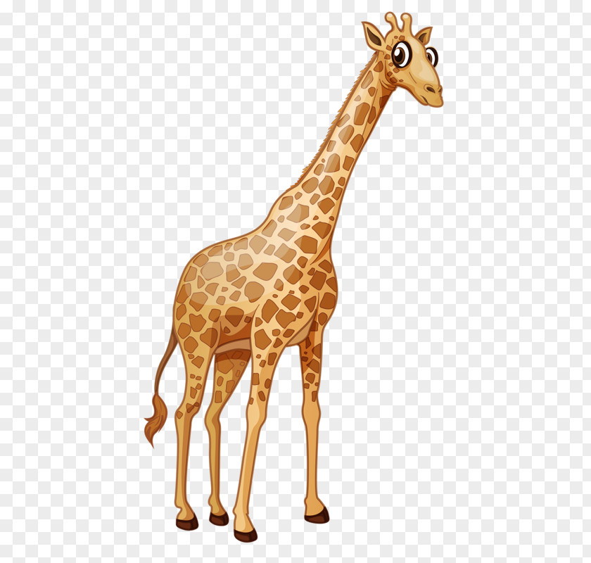 Cute Giraffe Euclidean Vector Royalty-free Illustration PNG