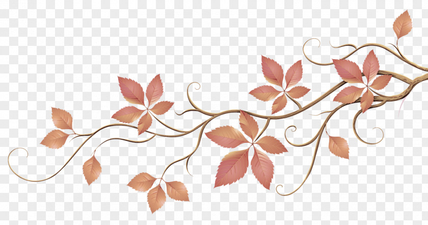 Leaf Branch Flower Plant Petal PNG